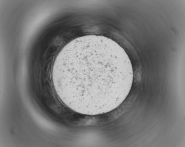 X0000112780764200910011257