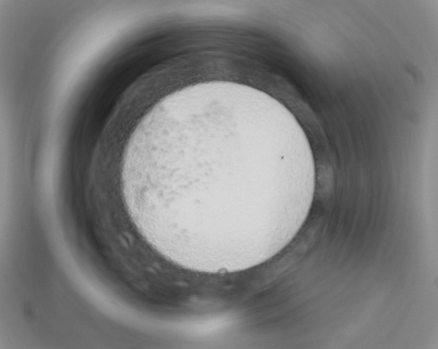 X0000112780765200910011257