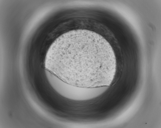 X0000112780766200910011257