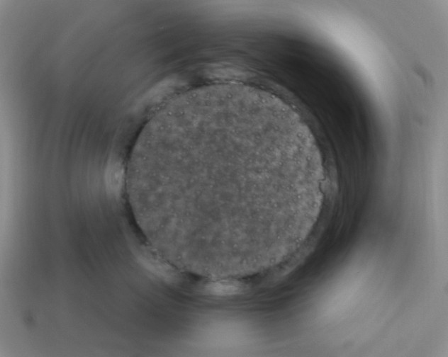 X0000112780767200910011257