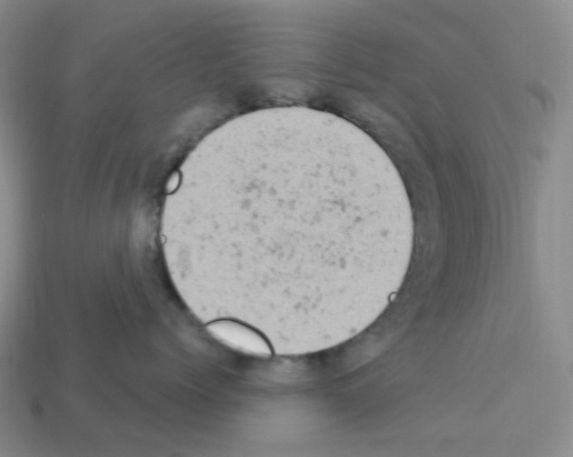 X0000112780768200910011257