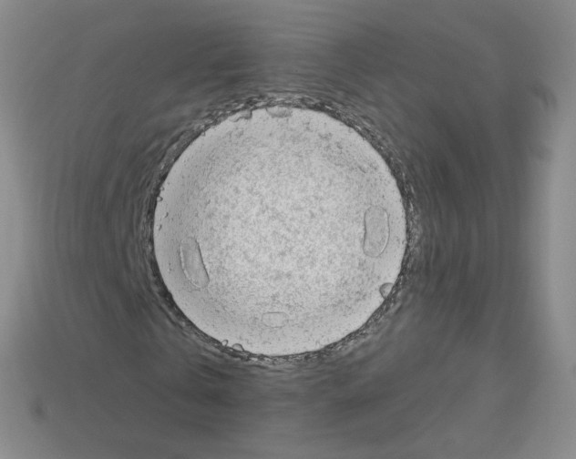 X0000112780769200910011256