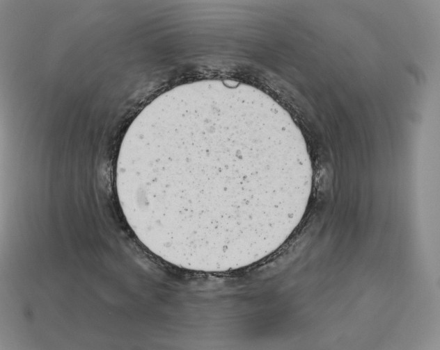 X0000112780772200910011256