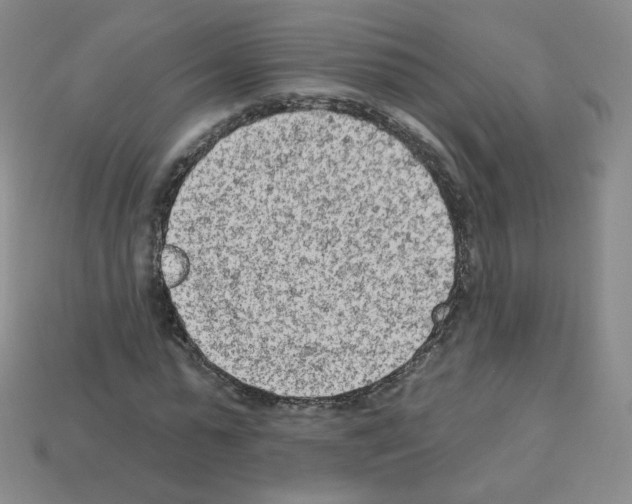 X0000112780775200910011256