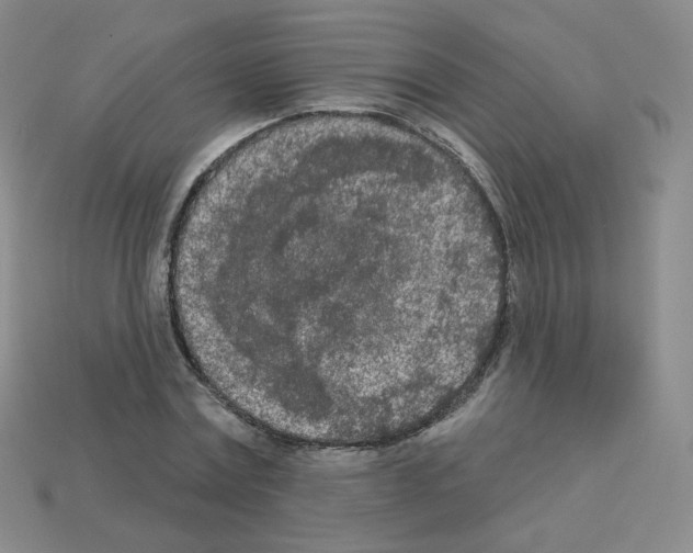 X0000112780779200910011256