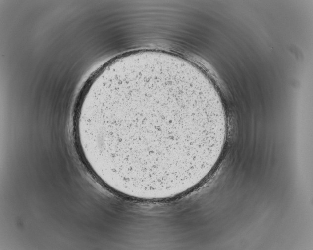 X0000112780780200910011256