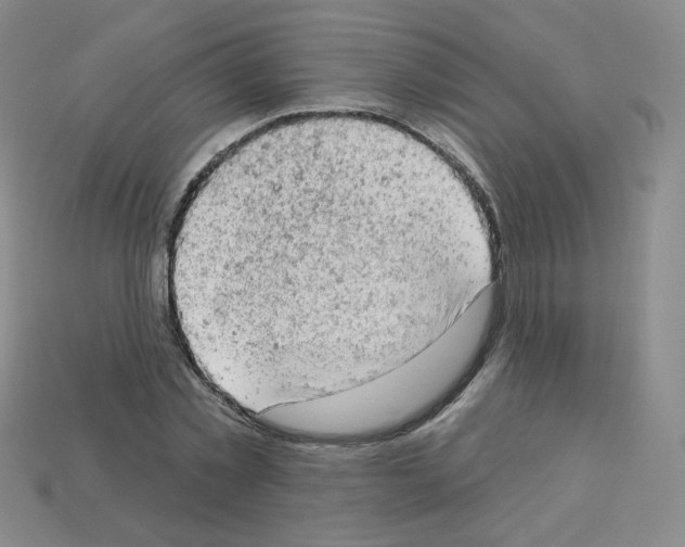 X0000112780781200910011256