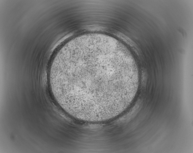 X0000112780782200910011256