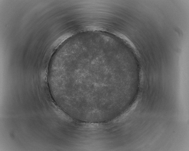 X0000112780785200910011256