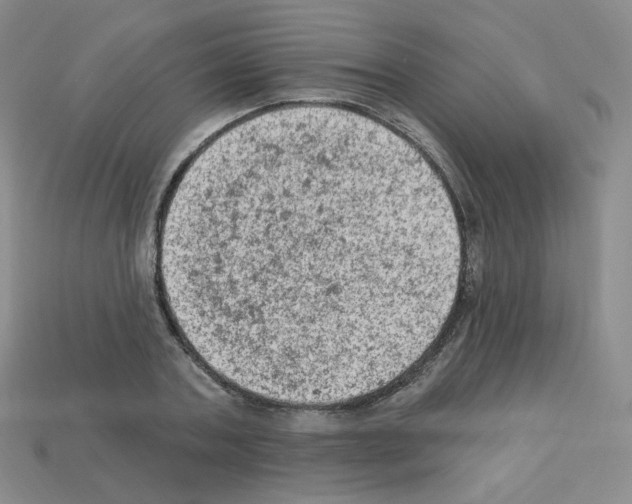 X0000112780787200910011256