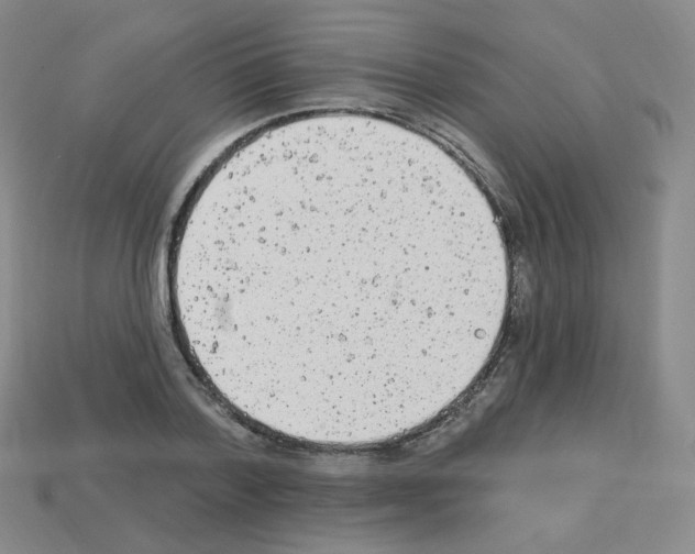 X0000112780788200910011256