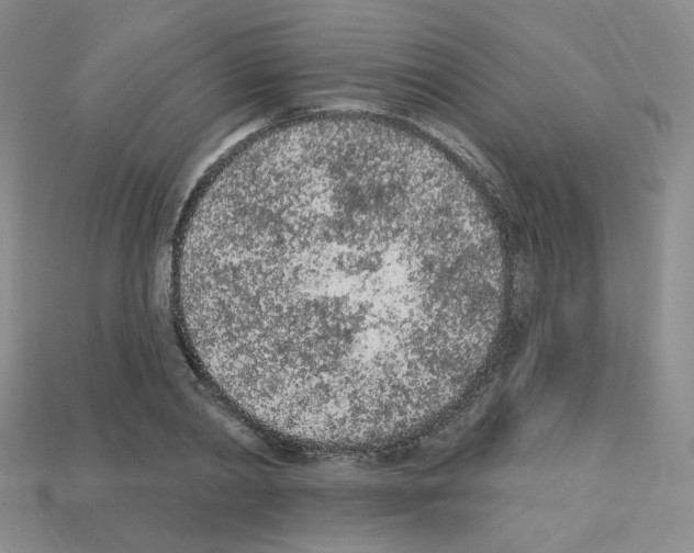 X0000112780790200910011256