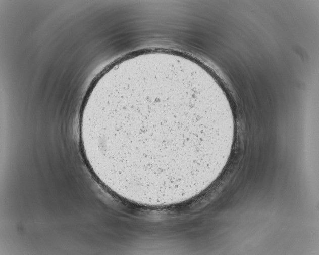 X0000112780791200910011256