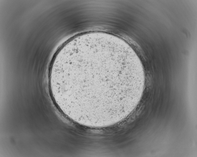 X0000112780792200910011256