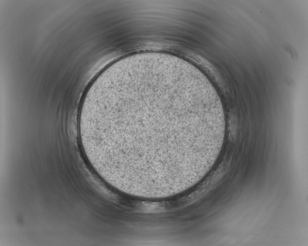 X0000112780794200910011256