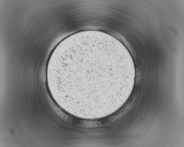 X0000112780795200910011256