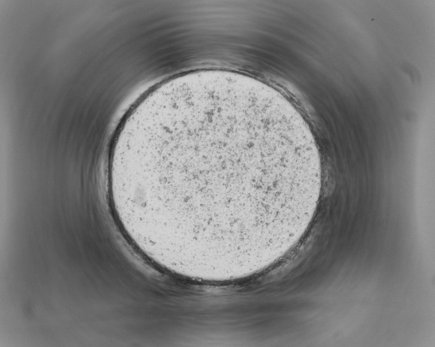 X0000112780796200910011256