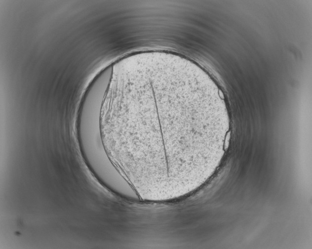 X0000112780797200910011256