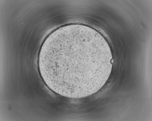 X0000112780799200910011256