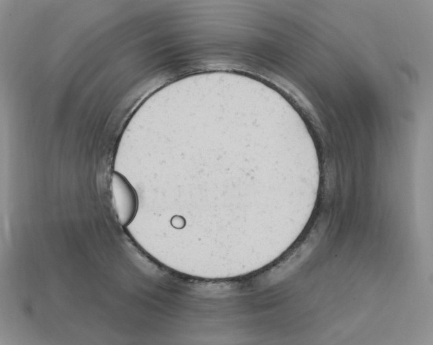 X0000112780801200910011256