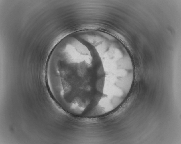 X0000112780802200910011256