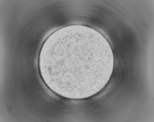 X0000112780803200910011256