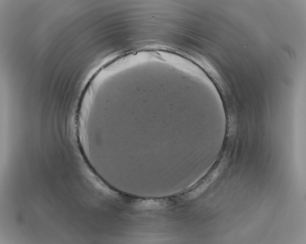 X0000112780806200910011256