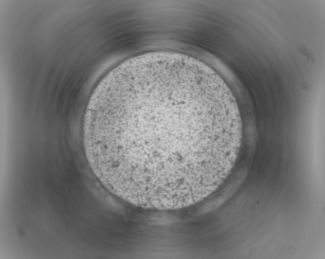 X0000112780807200910011256