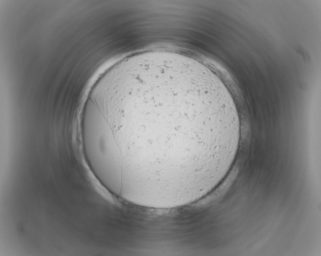 X0000112780808200910011256