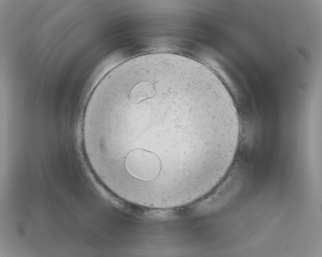 X0000112780810200910011256