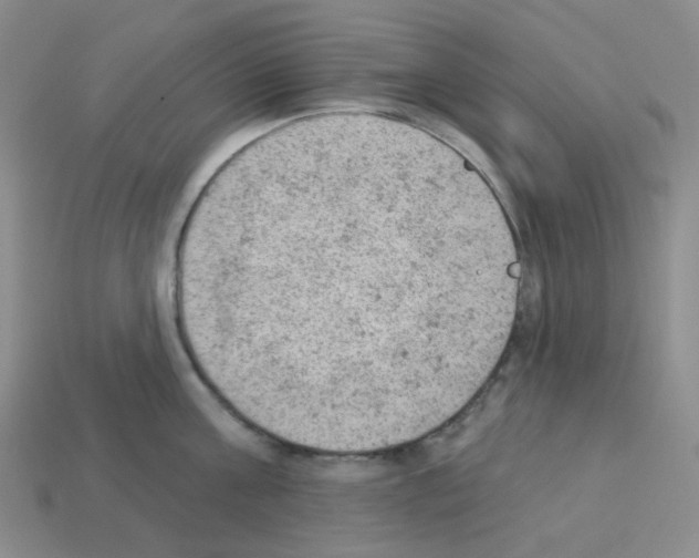 X0000112780811200910011256