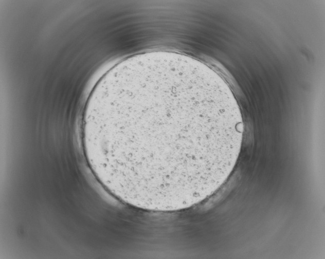 X0000112780812200910011256