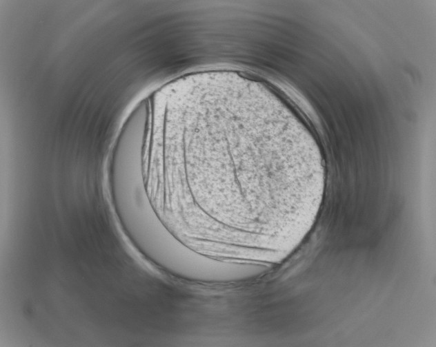 X0000112780813200910011256