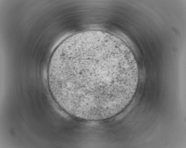 X0000112780814200910011256