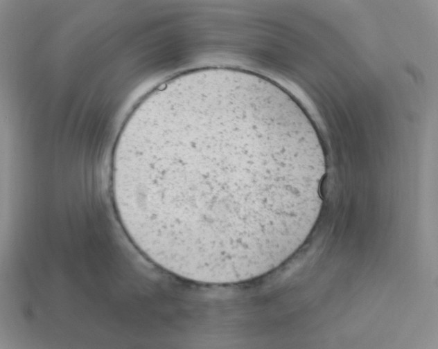 X0000112780815200910011256