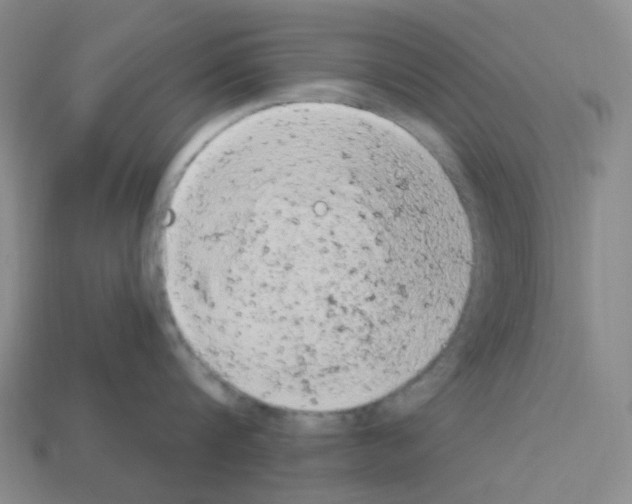 X0000112780816200910011256