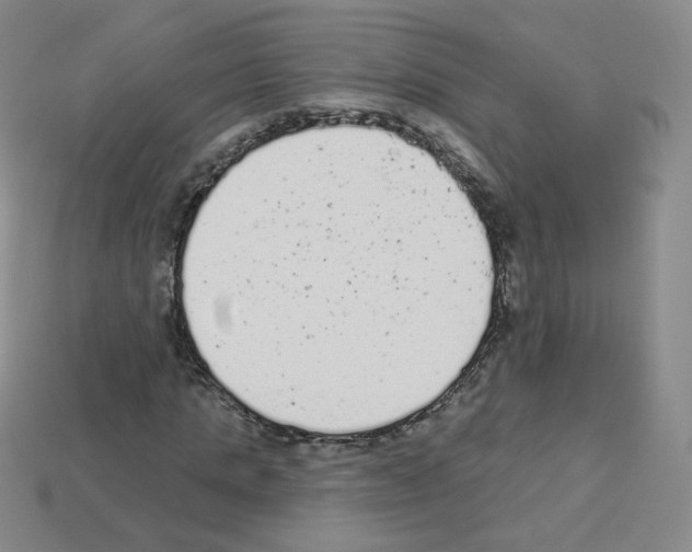 X0000112780821200910011255