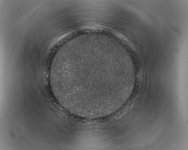 X0000112780822200910011255