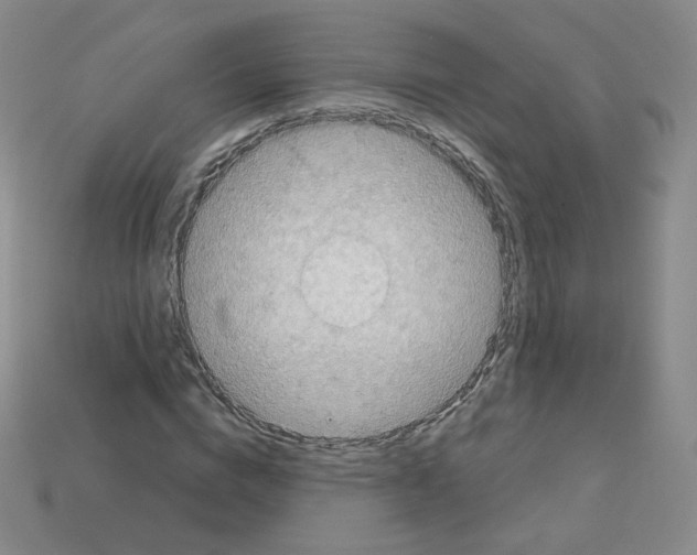 X0000112780824200910011255