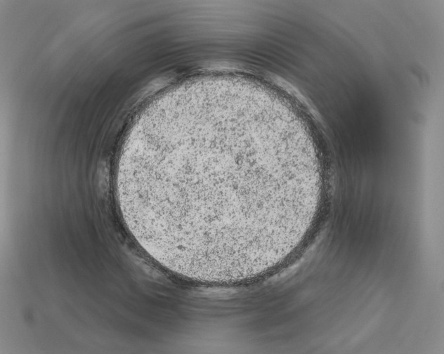 X0000112780825200910011255