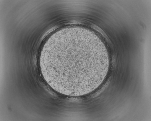 X0000112780826200910011255