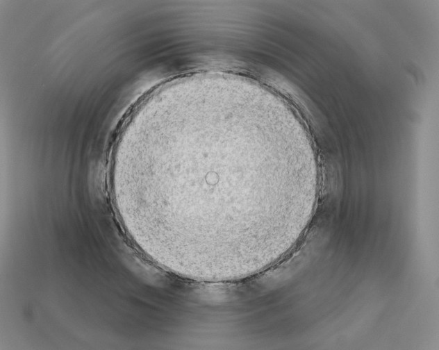 X0000112780828200910011255