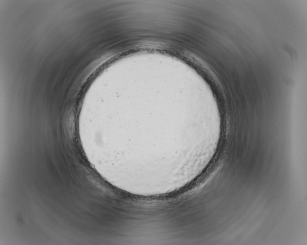 X0000112780829200910011255