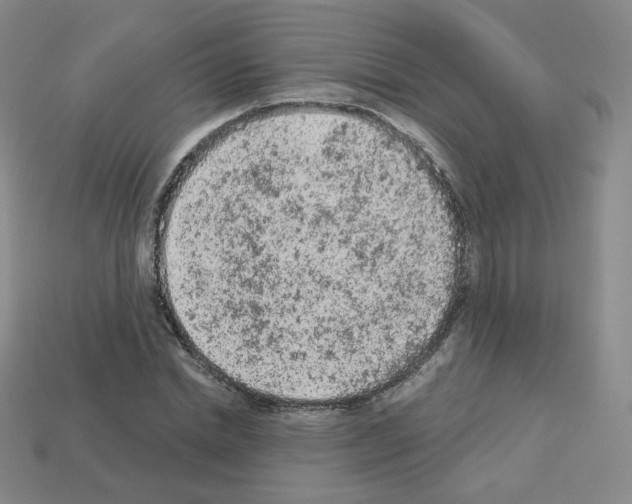 X0000112780830200910011255