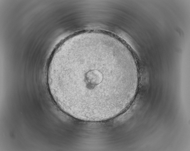 X0000112780832200910011255