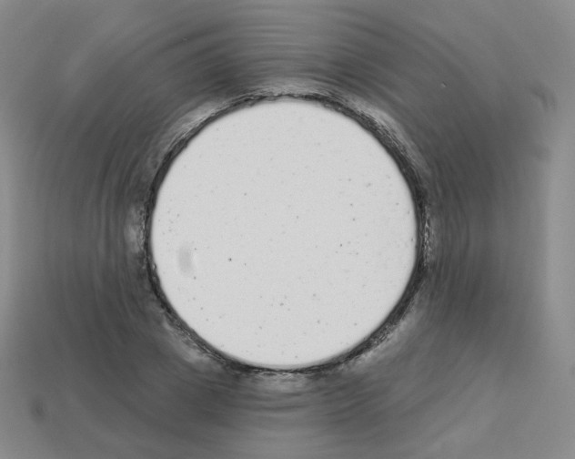 X0000112780833200910011255