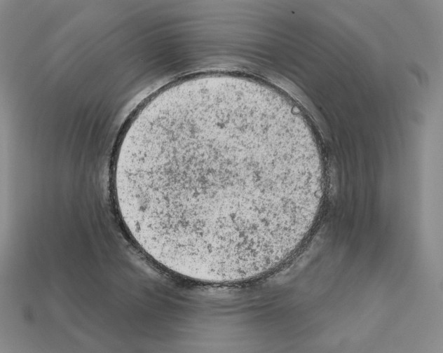 X0000112780834200910011255