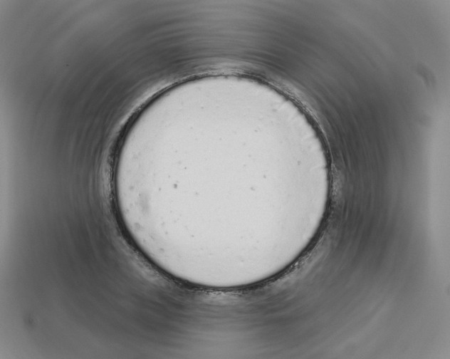 X0000112780835200910011256