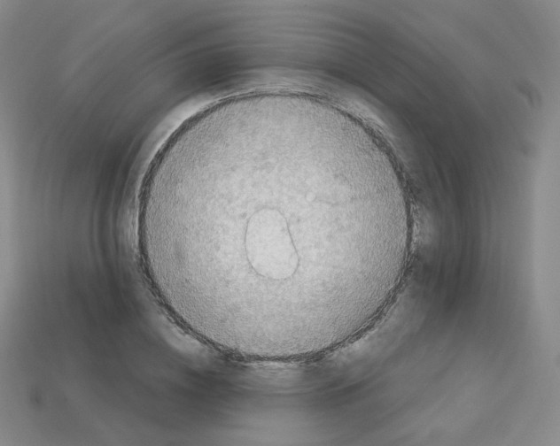 X0000112780836200910011256