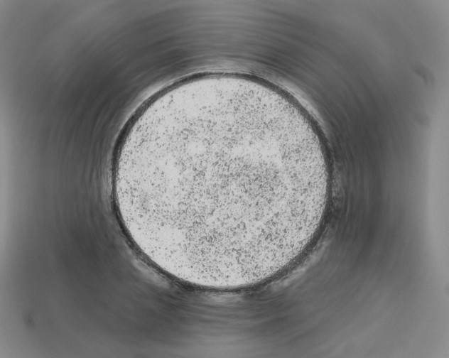 X0000112780837200910011256